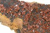 Top-Quality, Deep Red Vanadinite Crystals on Hematite - Morocco #291082-2